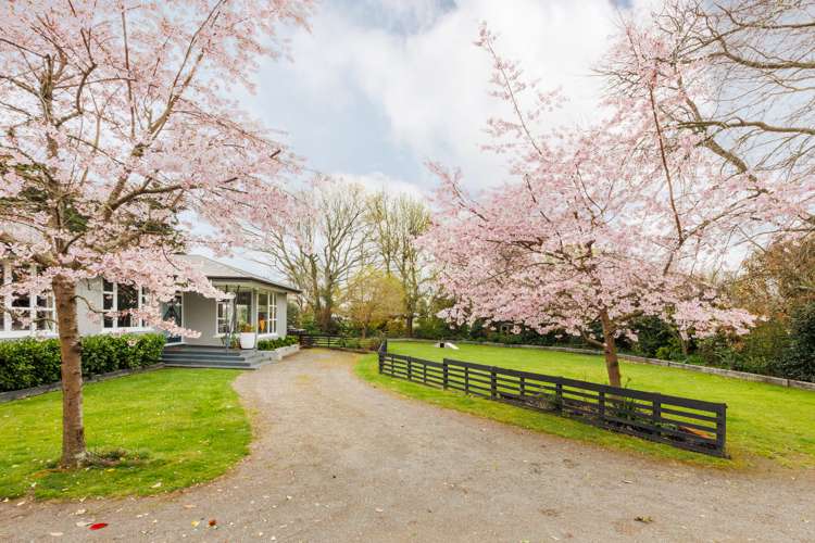 1308 Rongotea Road Kairanga_25