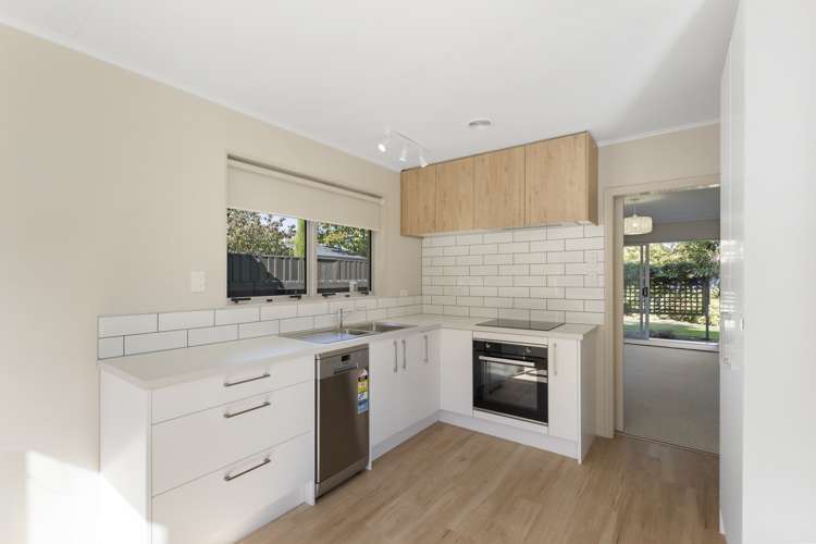 2/86 Nelson Street Springlands_2