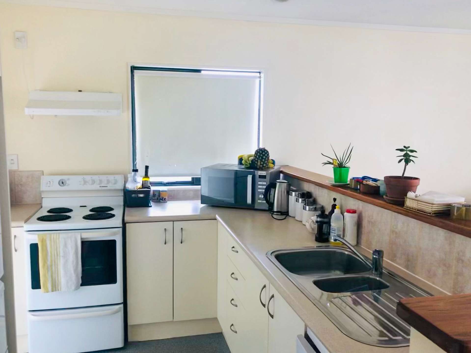 16a Methuen Road Avondale_0