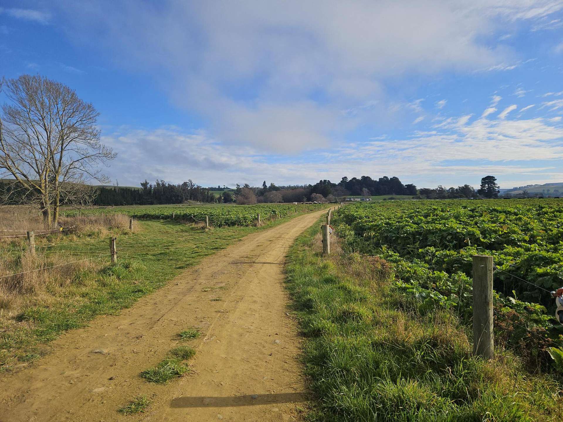 Balruddery Road Five Forks_0