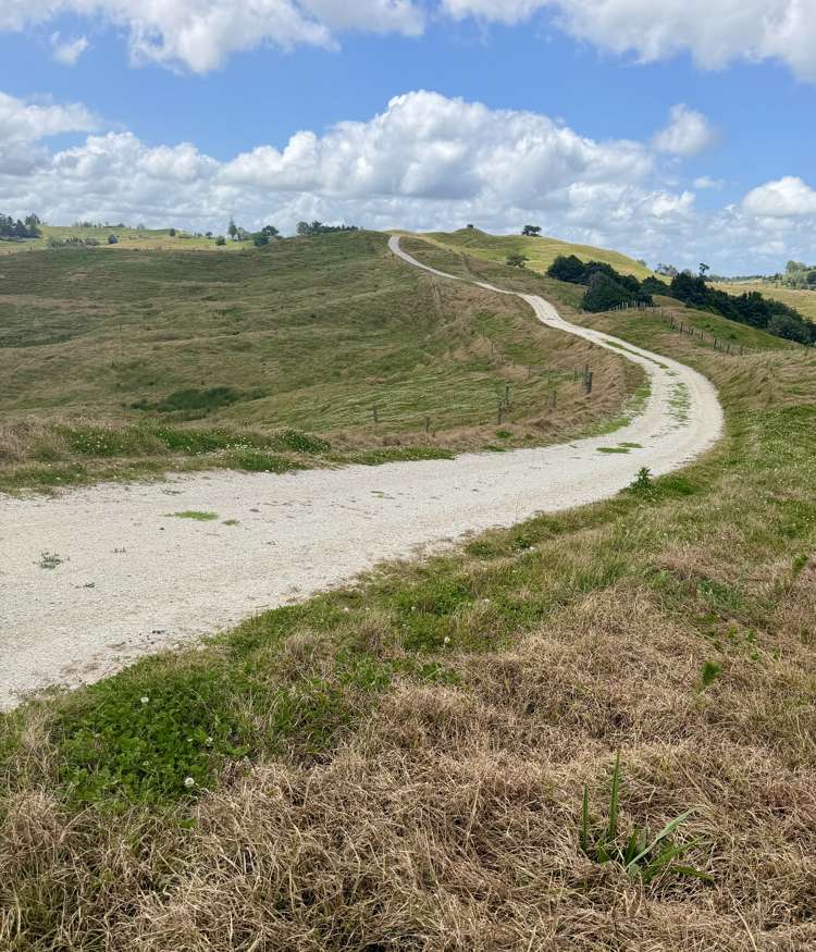 Pukehuia Road_0