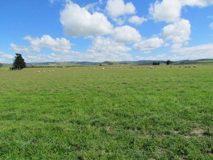 734 Crichton Road Milton_16