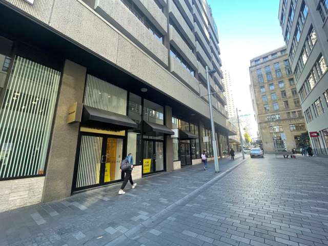 T3/18C Shortland Street Auckland Cbd_3