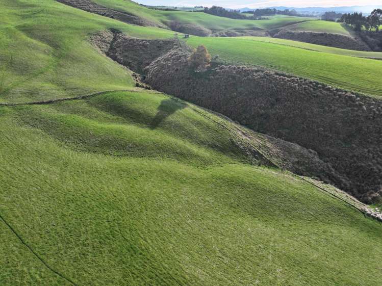 3 Conical Hill Road Gore_9