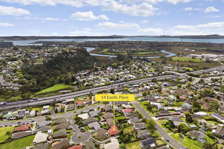 14 Exotic Place Massey_19