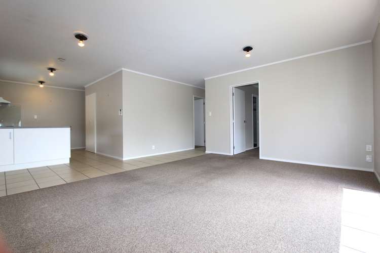 61b Nelson Street Springlands_5