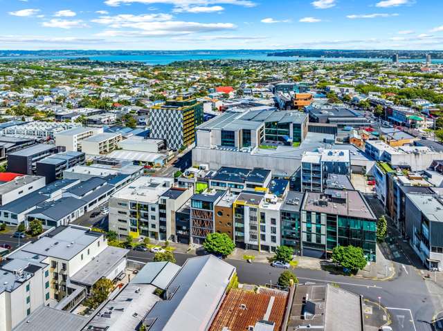 17C Pollen Street Grey Lynn_4