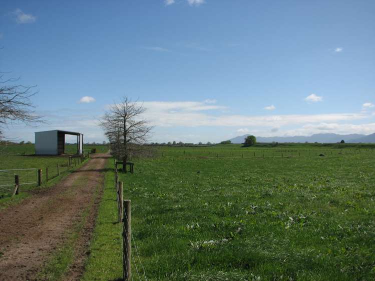 221 Tower Road Matamata_6