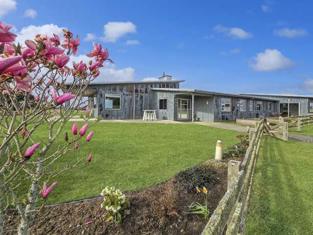 79 Patterson Road Goodwood_2