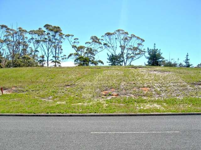 55 Carrington Drive Karikari Peninsula_2