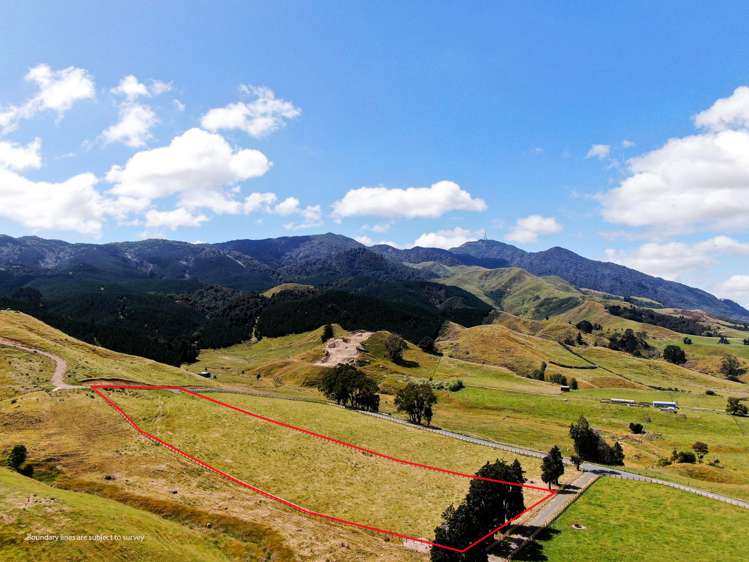 Lot 4, 151 Hill Road Te Aroha_9