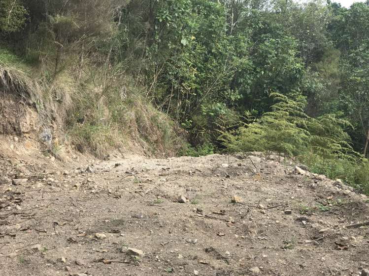 8 Ngapera Way Omori_4