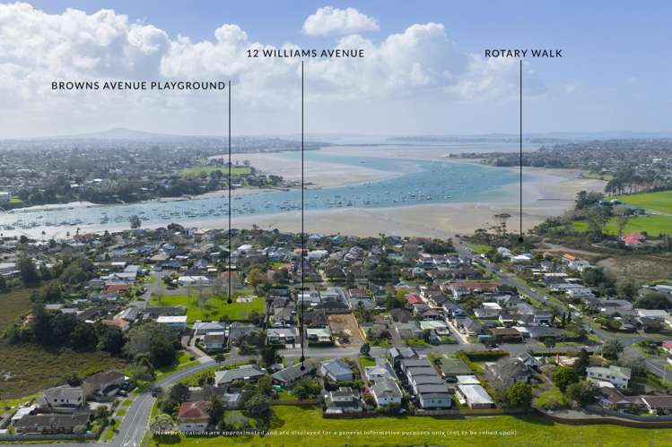 12 Williams Avenue Pakuranga_15