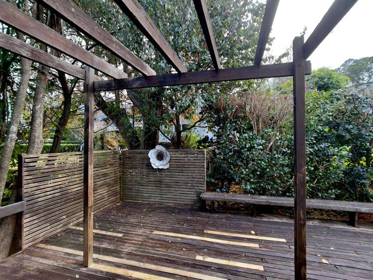 3/17 Ascot Avenue Remuera_15