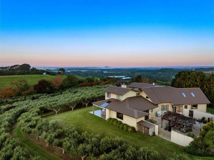 265A Hot Springs Road Katikati_44