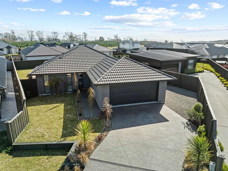 27 Helicon Street Pegasus_1