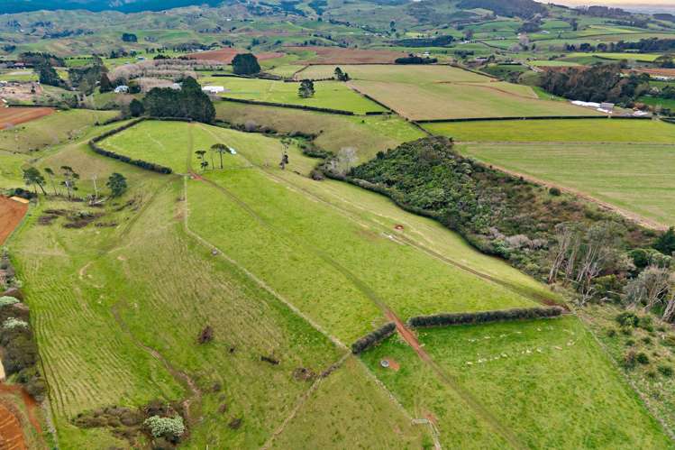 180 Andrews Road Onewhero_25