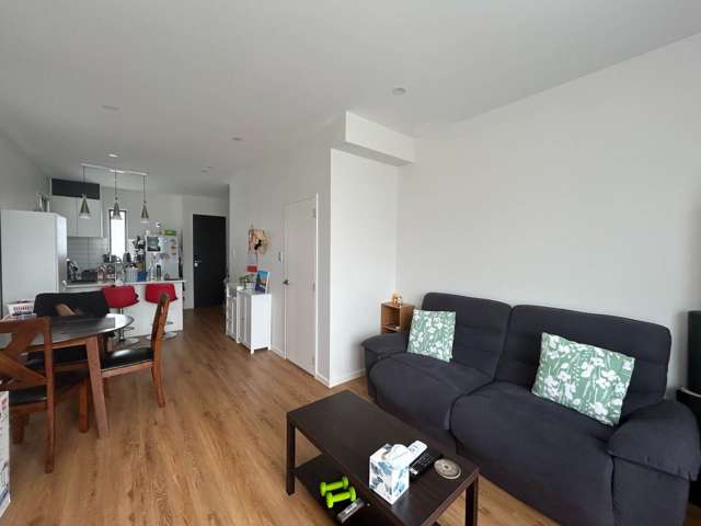 8 Parahau Road Papakura_1