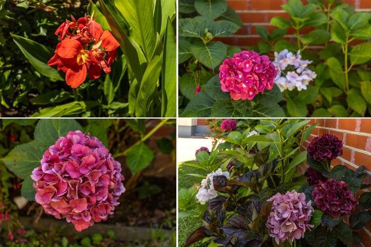 21a Percy Street Blenheim_20