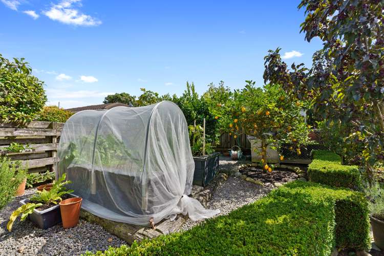 4 Alexander Place Otaki_25