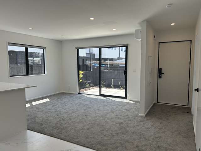 117d Edinburgh Street Spreydon_4