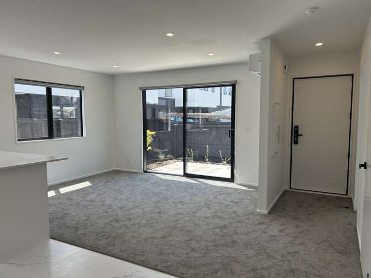 117d Edinburgh Street Spreydon_4