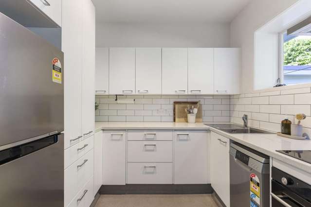 2/15 Upper Lewisville Terrace Thorndon_3