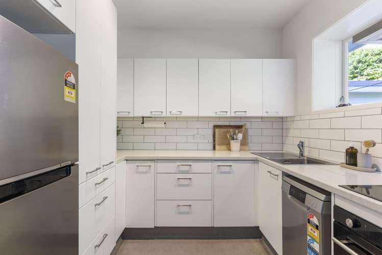 2/15 Upper Lewisville Terrace Thorndon_3