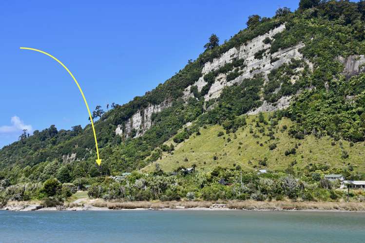 21 Horncastle Crescent Kahurangi National Park_19