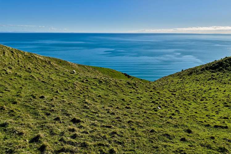 Lot 2,3 and 5/1275 Paekakariki Hill Road Paekakariki Hill_22