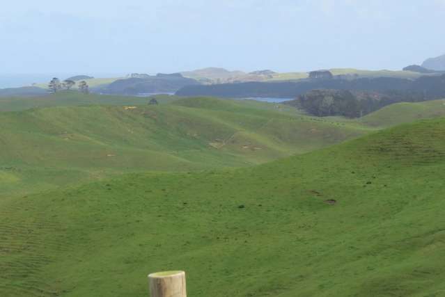 Airstrip Road Dargaville Surrounds_1