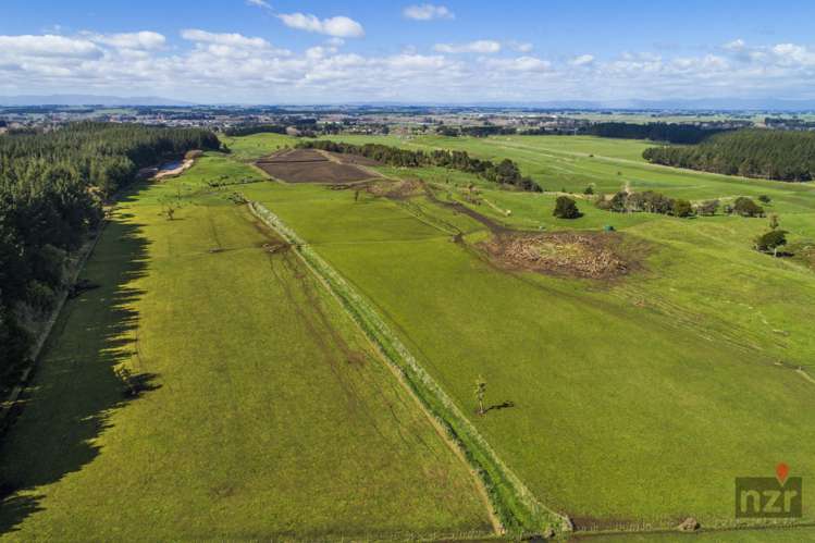 76 Brandon Hall Road Bulls_10