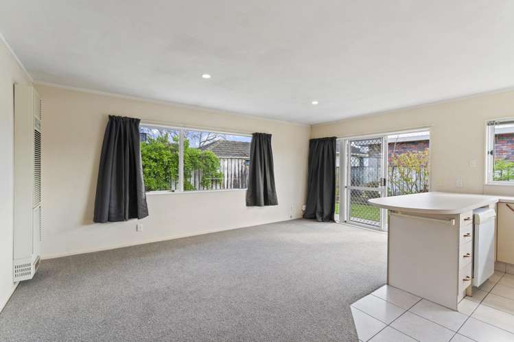 17A Carlisle Street Levin_3