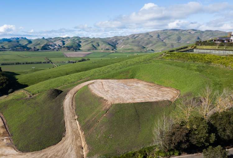 133 Enfield Drive Pakipaki_8