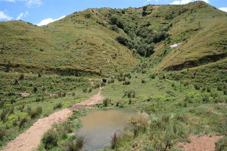 Walter Road Douglas_9