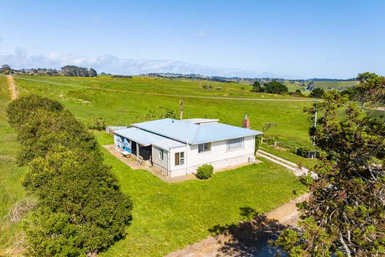 55 Otara Point Road Te Kopuru_19