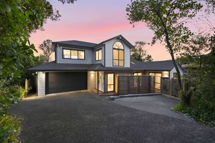 45 Pohutukawa Avenue Shelly Park_6
