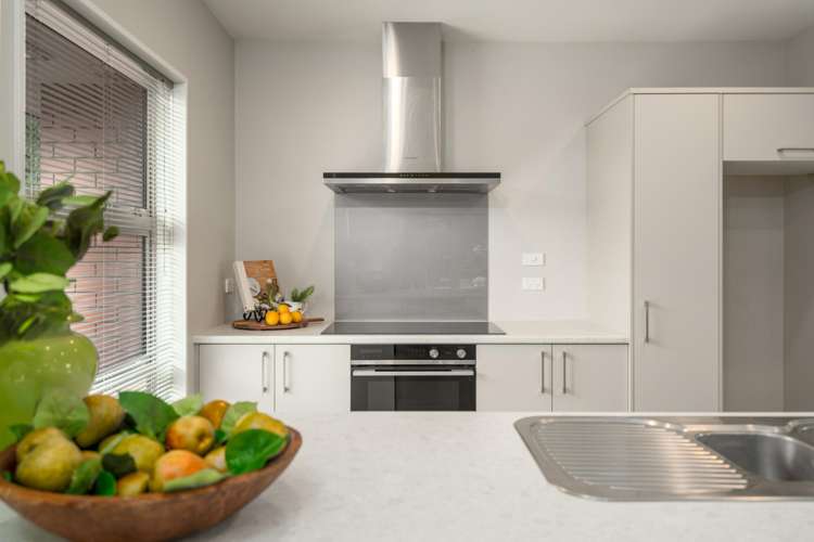 1B Moule Street Addington_5