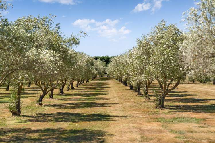 399a Lake Ferry Road Dyerville_24