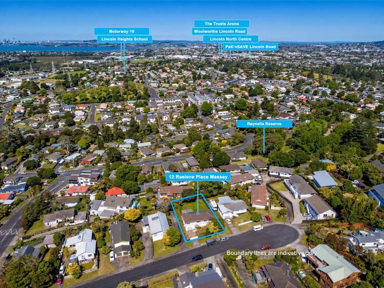 12 Raelene Place Massey_26