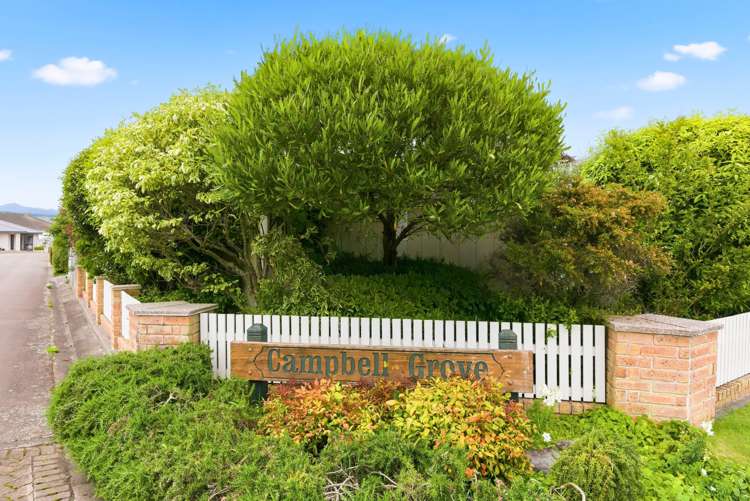 6 Campbell Grove Levin_12