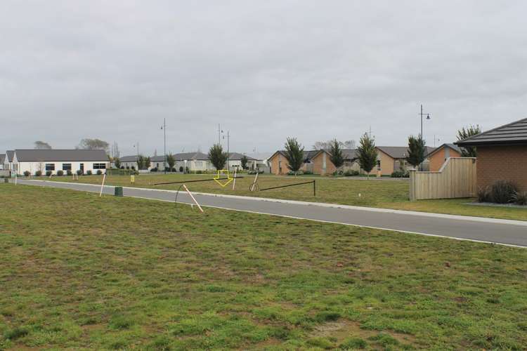 67 Mary Ellen Street Pegasus_4