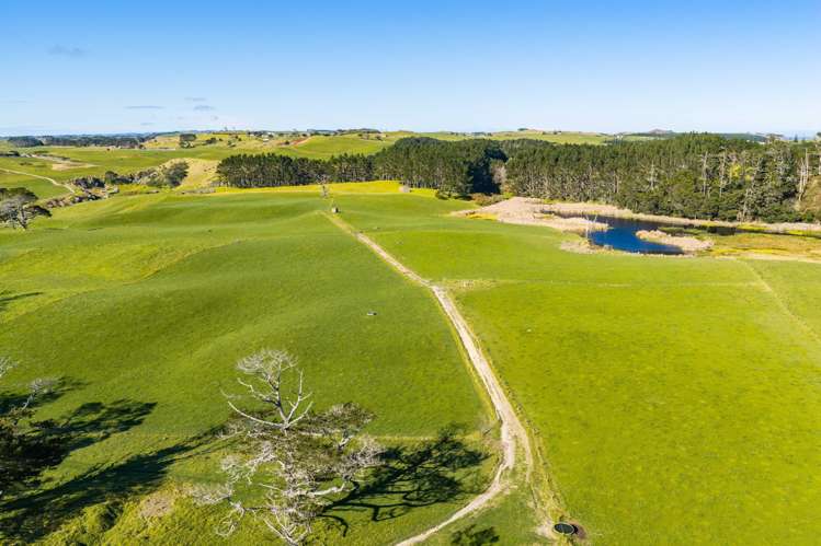 454 West Coast Road Te Kopuru_20