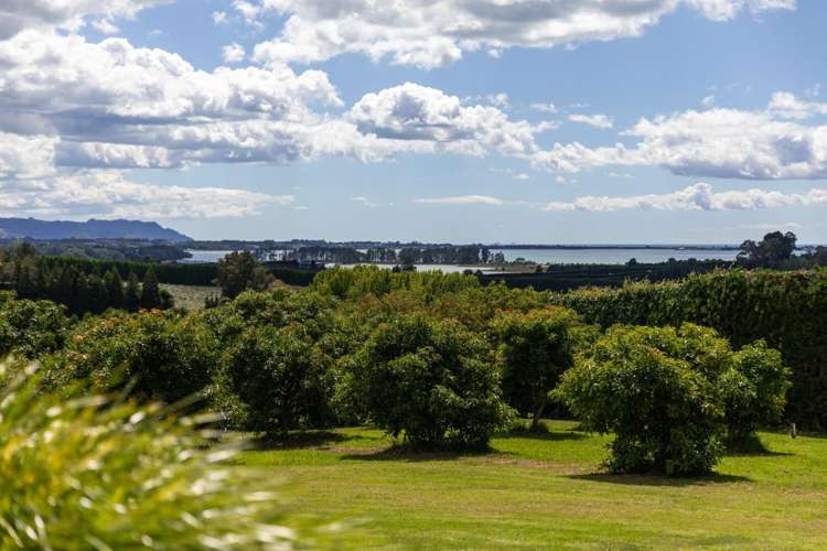 63 Ongare Point Road Katikati_31