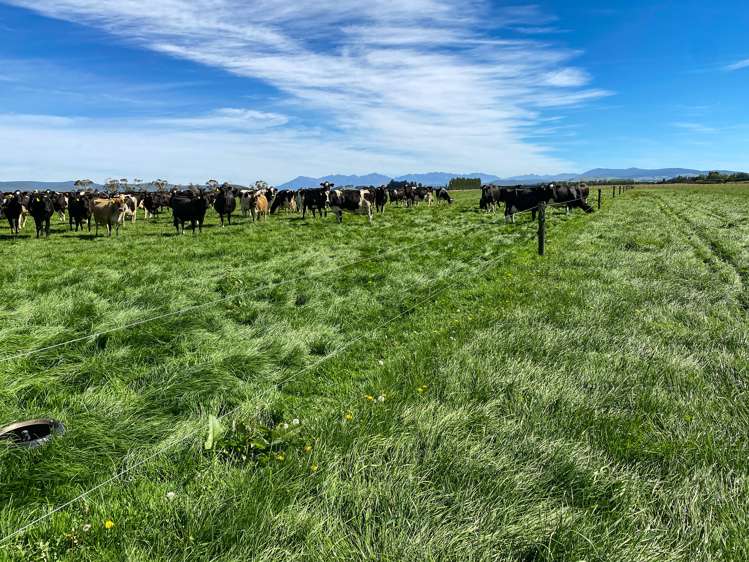 445 Aparima Road Otautau_5