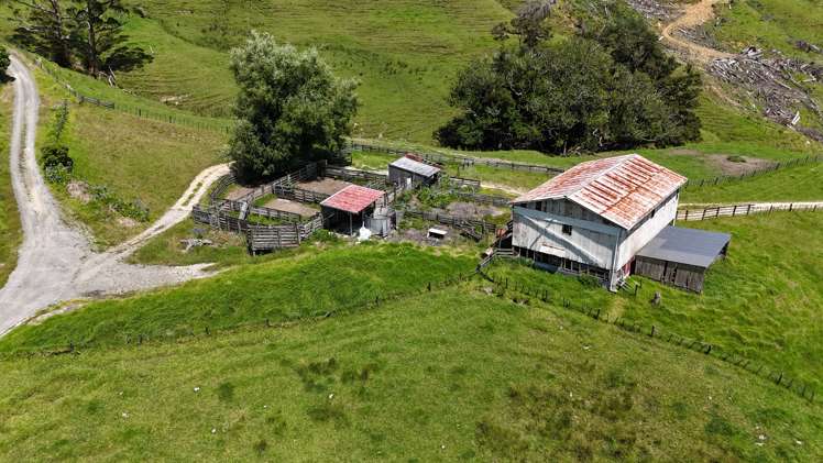 444 Wharekawa Road Oue_6