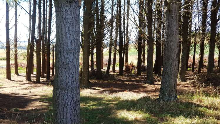 Breakneck Road Lawrence_5