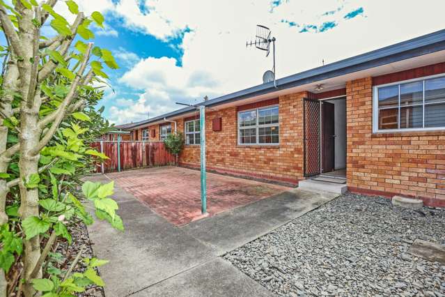 2/24 Middle Road Havelock North_2