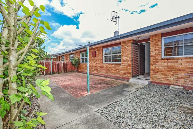 2/24 Middle Road Havelock North_2