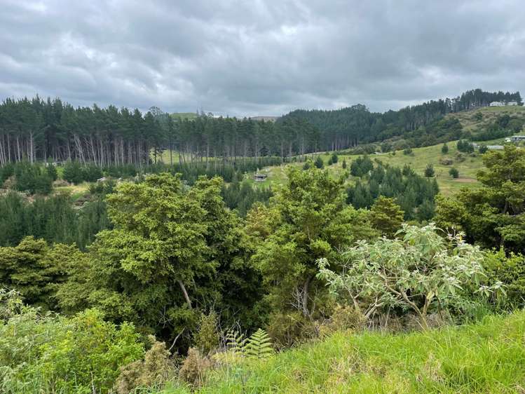 609a Bickerstaffe Road Maungaturoto_19